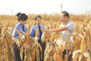 “农城护苗”守护“三农”