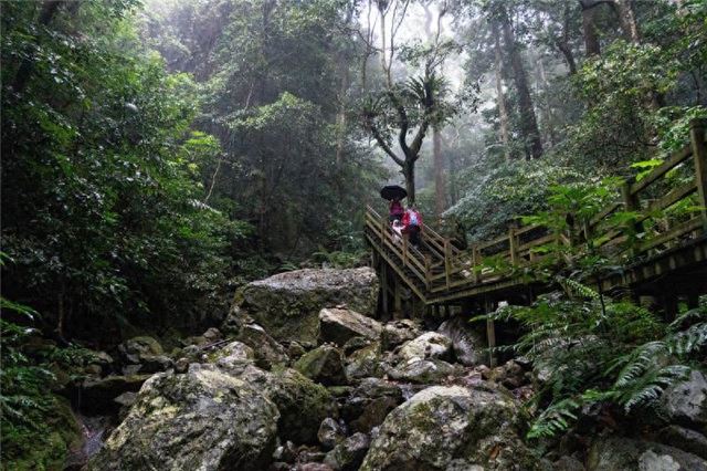 海南公安深耕生态警务筑牢国家公园生态安全屏障
