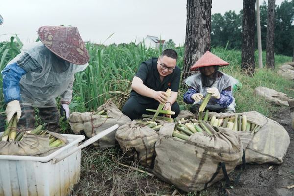 浙江海盐：法院柔性执行 56亩土地焕发新